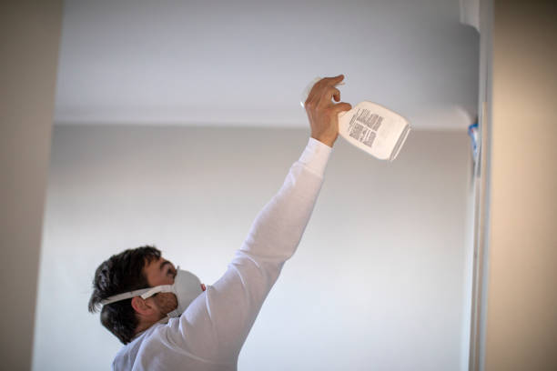Home Mold Removal in West Sacramento, CA