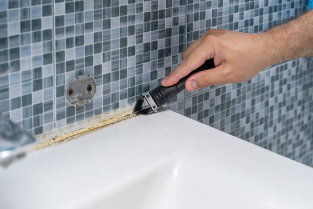 Best Mold Testing and Removal  in West Sacramento, CA