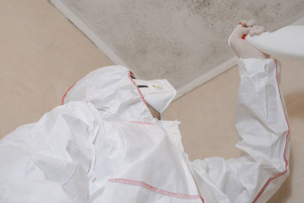 Best Commercial Mold Removal  in West Sacramento, CA