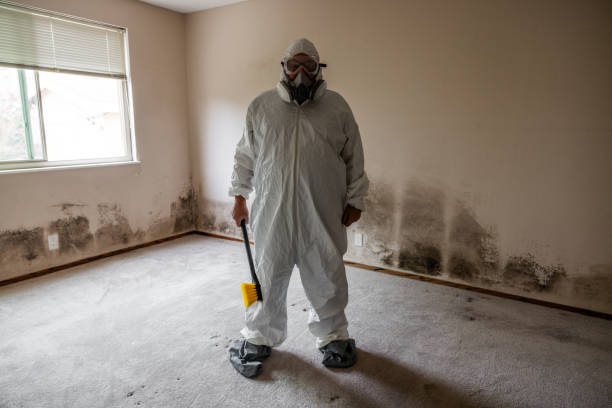Best Commercial Mold Removal  in West Sacramento, CA